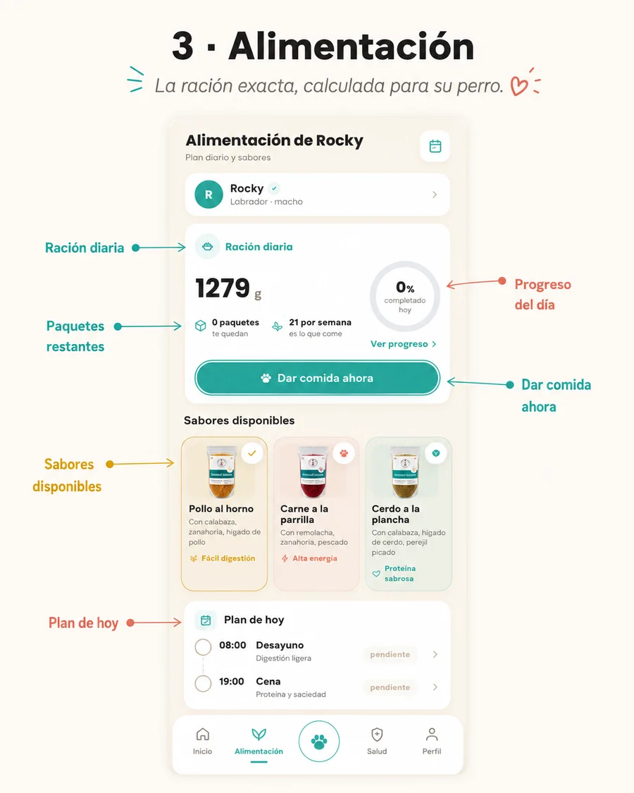 Alimentación de la app Mi Perro de Corso Dogs