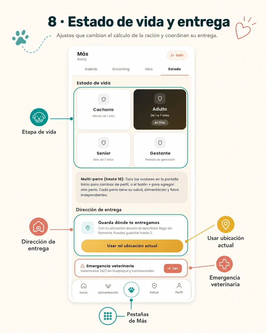 Estado de vida y entrega de la app Mi Perro de Corso Dogs